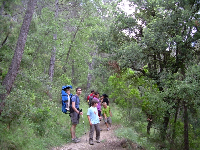 Excursiones familiares